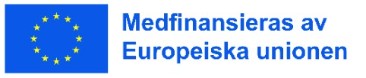 Bild med texten "Medfinansieras av Europeiska unionen"